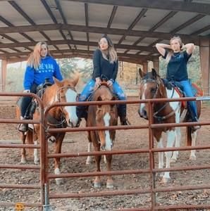 Meet your Posher, Victoria